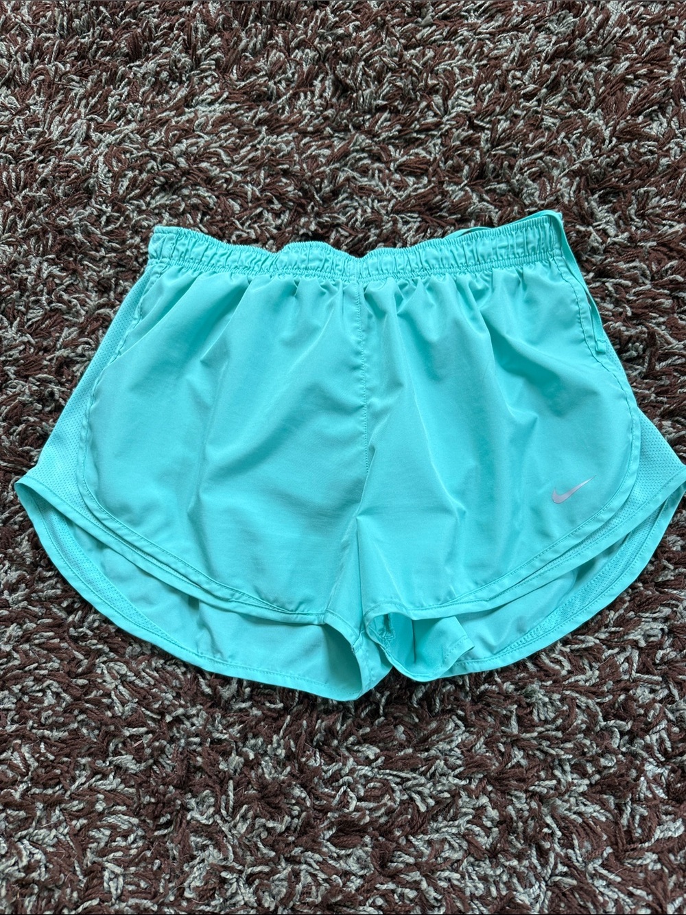 Nike Teal/Aqua Athletic Running Shorts